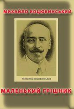 Михайло Коцюбинський Маленький грішник обложка книги