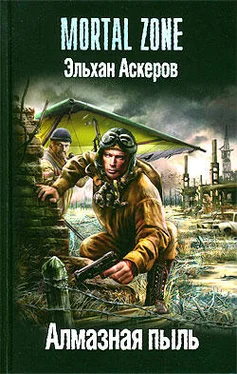 Эльхан Аскеров Алмазная пыль обложка книги