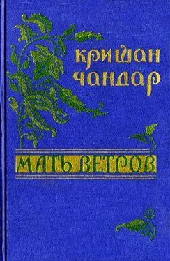 Кришан Чандар Ветка эвкалипта обложка книги