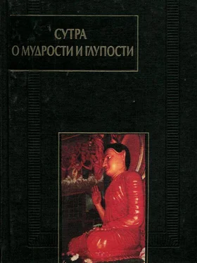 Сиддхартха Гаутама Сутра о мудрости и глупости (Дзанлундо) обложка книги