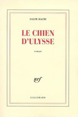 Салим Баши Пёс Одиссея обложка книги