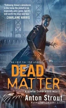 Anton Strout Dead Matter обложка книги