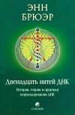 Энн Брюэр Двенадцать нитей ДНК: История, теория и практика перекодирования ДНК обложка книги
