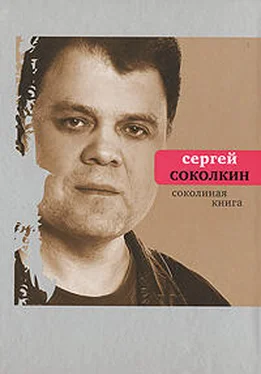 Сергей Соколкин Соколиная книга обложка книги