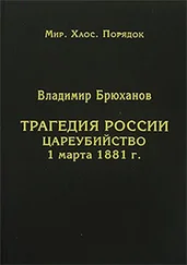 Владимир Брюханов - Трагедия России. Цареубийство 1 марта 1881 г.