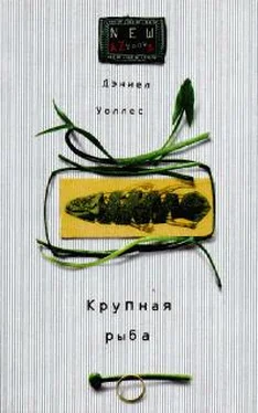 Дэниел Уоллес Крупная рыба обложка книги