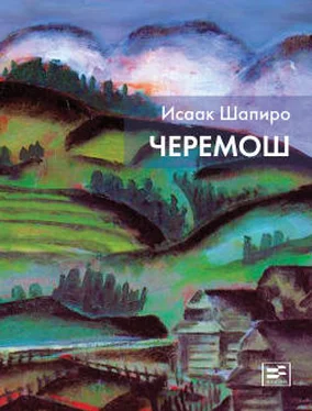 Исаак Шапиро Черемош (сборник) обложка книги