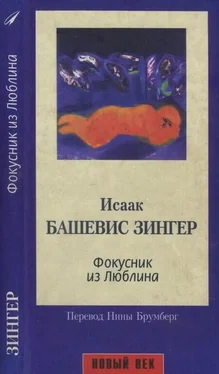 Исаак Башевис-Зингер Фокусник из Люблина обложка книги