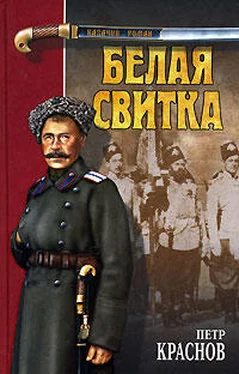Петр Краснов Степь обложка книги