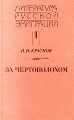 Петр Краснов - Амазонка пустыни