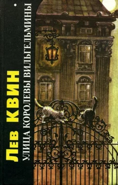 Лев Квин Улица Королевы Вильгельмины: Повесть о странностях времени обложка книги