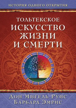 Мигель Руис Тольтекское искусство жизни и смерти: история одного открытия обложка книги