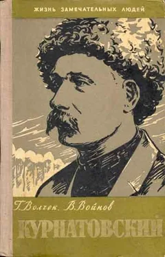 Григорий Волчек Виктор Курнатовский обложка книги