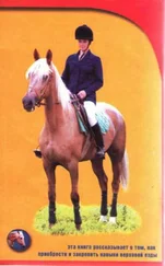 М Ливанова - Уроки верховой езды