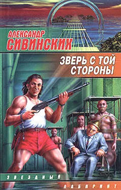 Александр Сивинских Зверь с той стороны обложка книги