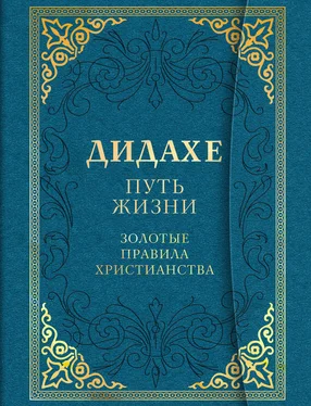 А Богословский Дидахе: путь Жизни. Золотые правила христианства обложка книги