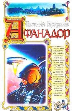 Евгений Гаркушев Афанадор обложка книги