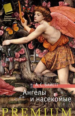 Антония Байетт Ангелы и насекомые (сборник) обложка книги