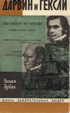 Ирвин Уильям Дарвин и Гексли обложка книги