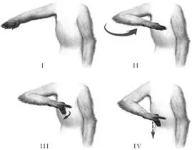 A HORRORS HAND GESTURE Henry noticed the hairiness of the arms For this - фото 27