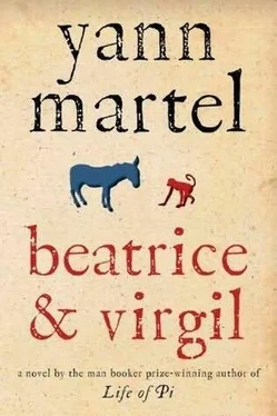 Yann Martel Beatrice and Virgil обложка книги