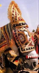 Юлия Серкова - Национальные украшения лошадей