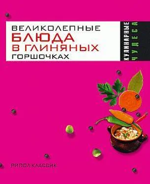 Ольга Трюхан Великолепные блюда в глиняных горшочках обложка книги