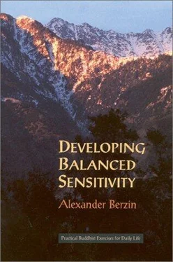 Александр Берзин Развитие сбалансированной чувствительности: практические буддийские упражнения для повседневной жизни (дополненное второе издание) обложка книги