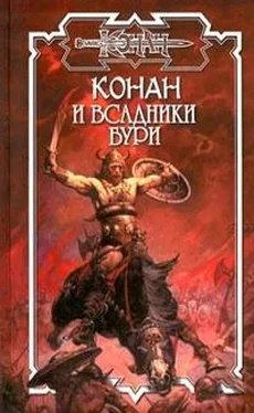 Мартин Романо Всадники бури обложка книги