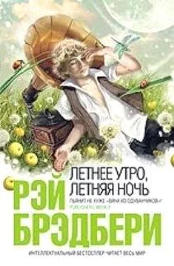 Рэй Брэдбери Река, что стремилась в море обложка книги