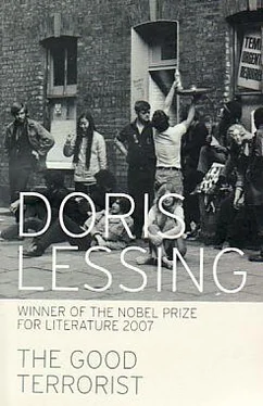 Doris Lessing Doris Lessing обложка книги