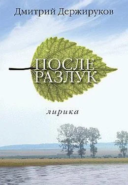 Дмитрий Держируков После разлук обложка книги