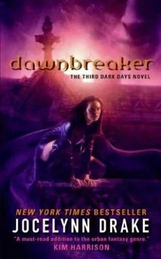 Jocelynn Drake Dawnbreaker обложка книги