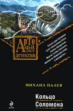 Михаил Палев Кольцо Соломона обложка книги