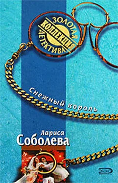 Лариса Соболева Снежный король обложка книги