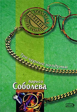 Лариса Соболева Три черные колдуньи обложка книги