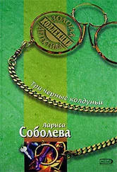 Лариса Соболева - Три черные колдуньи