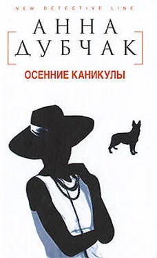 Анна Дубчак Осенние каникулы обложка книги