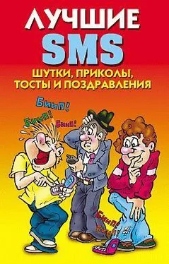 Светлана Ермакова Лучшие SMS. Шутки, приколы, тосты и поздравления обложка книги