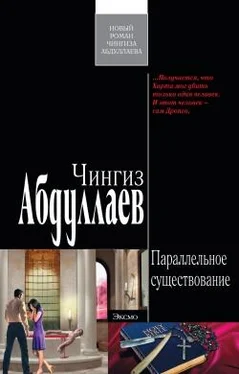 Чингиз Абдуллаев Параллельное существование обложка книги