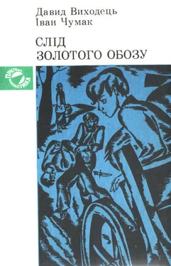 Давид Выходец Слід золотого обозу обложка книги