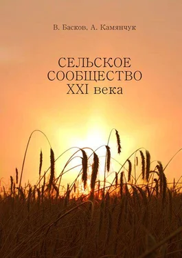 Александр Камянчук Сельское сообщество XXI века: Устойчивость развития. обложка книги