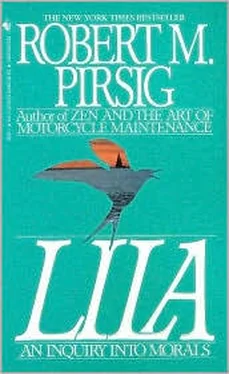 Роберт Пирсиг Лайла. Исследование морали обложка книги