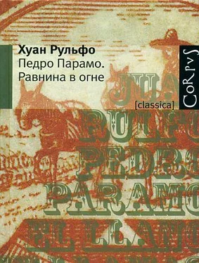 Хуан Рульфо Равнина в огне обложка книги