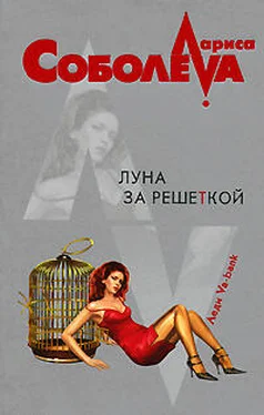 Лариса Соболева Луна за решеткой обложка книги