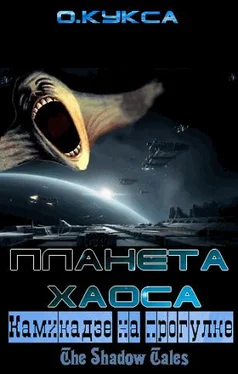 Олег Кукса Камикадзе на прогулке обложка книги