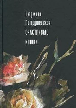 Людмила Петрушевская Счастливые кошки (сборник) обложка книги