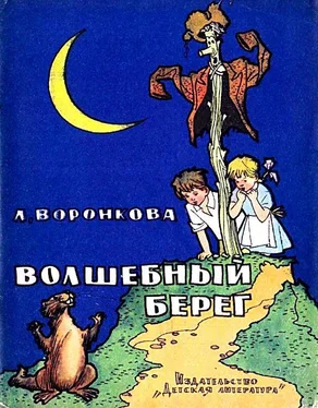 Любовь Воронкова Волшебный берег. Повесть-сказка обложка книги