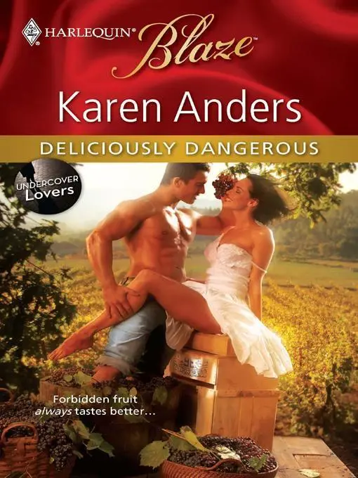 Karen Anders Deliciously Dangerous A book in the Undercover Lovers series - фото 1