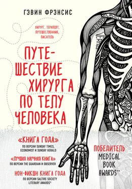 Гэвин Фрэнсис Путешествие хирурга по телу человека обложка книги